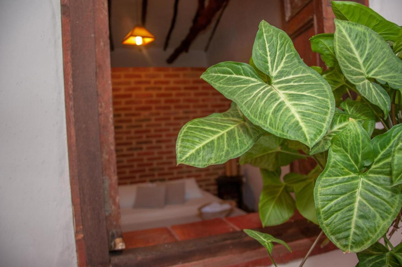 La Juanita Hostel Баричара Екстериор снимка